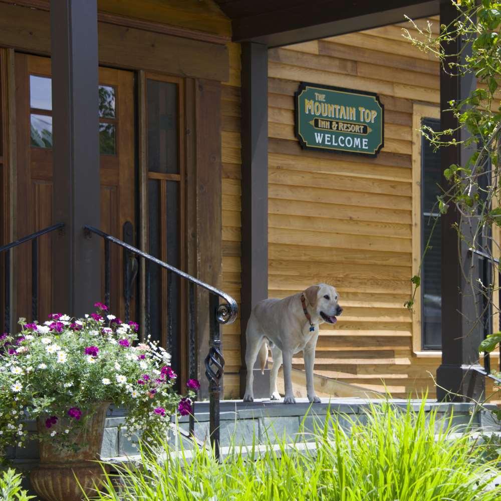 The Mountain Top Inn & Resort Chittenden Bekvemmeligheter bilde